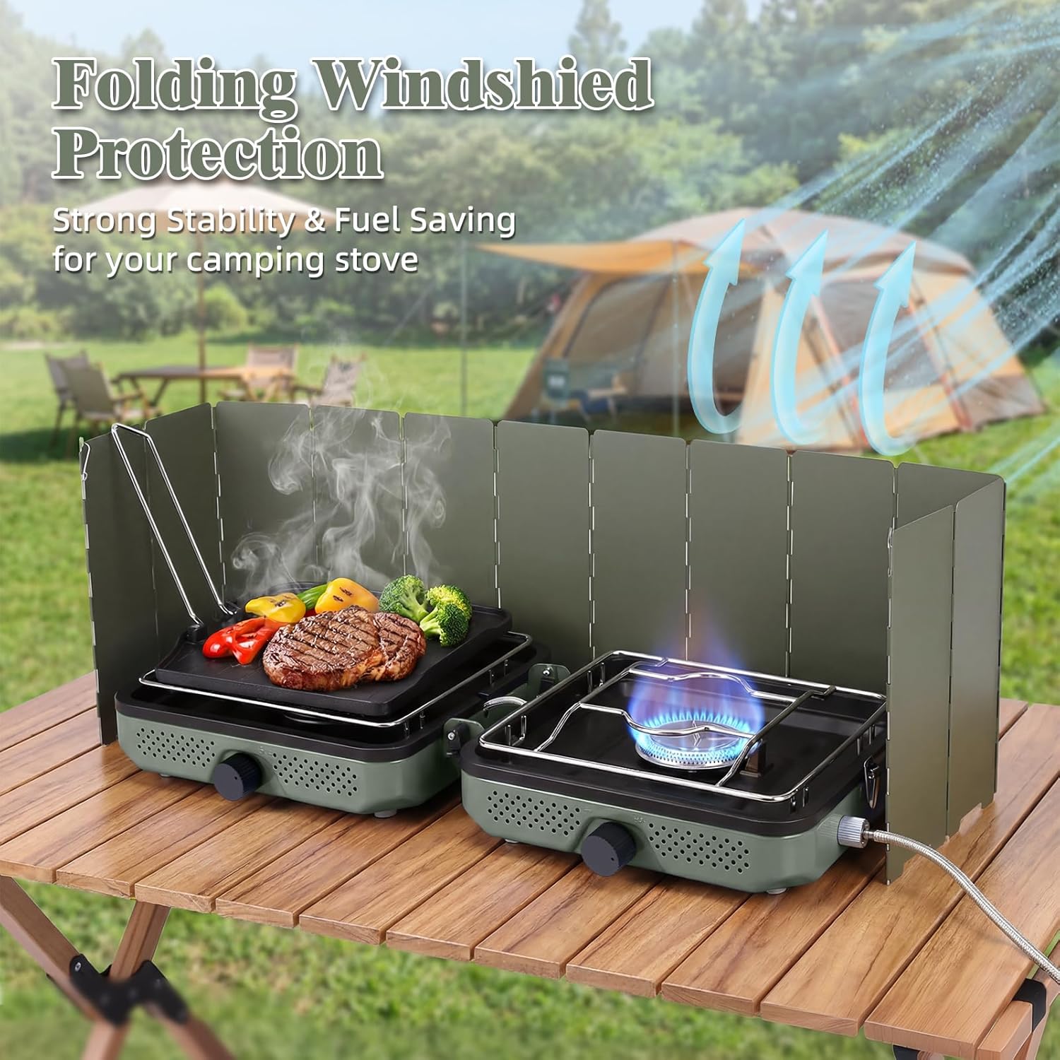 2-Burner Propane Camping Stove with Windscreen & Carry Bag – 30,000 BTU